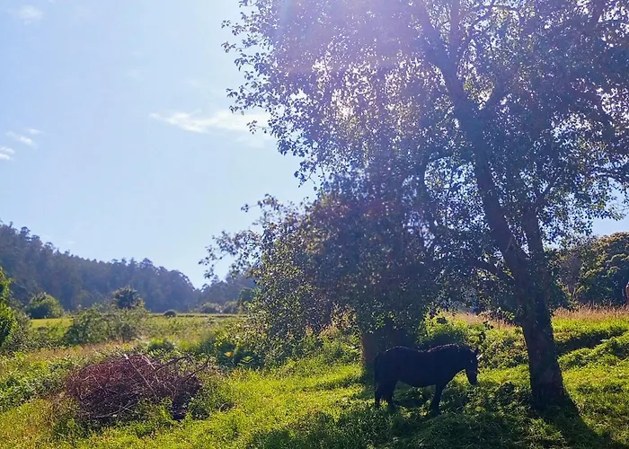A Casa Do Porto Cerca De Cedeira Y De La Playa De Pantin Valdoviño